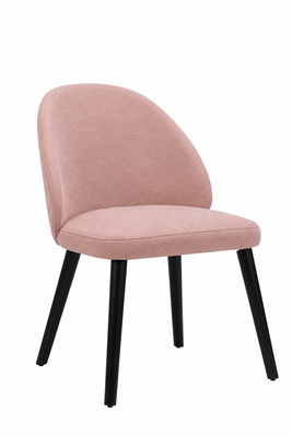 Echo Side Chair